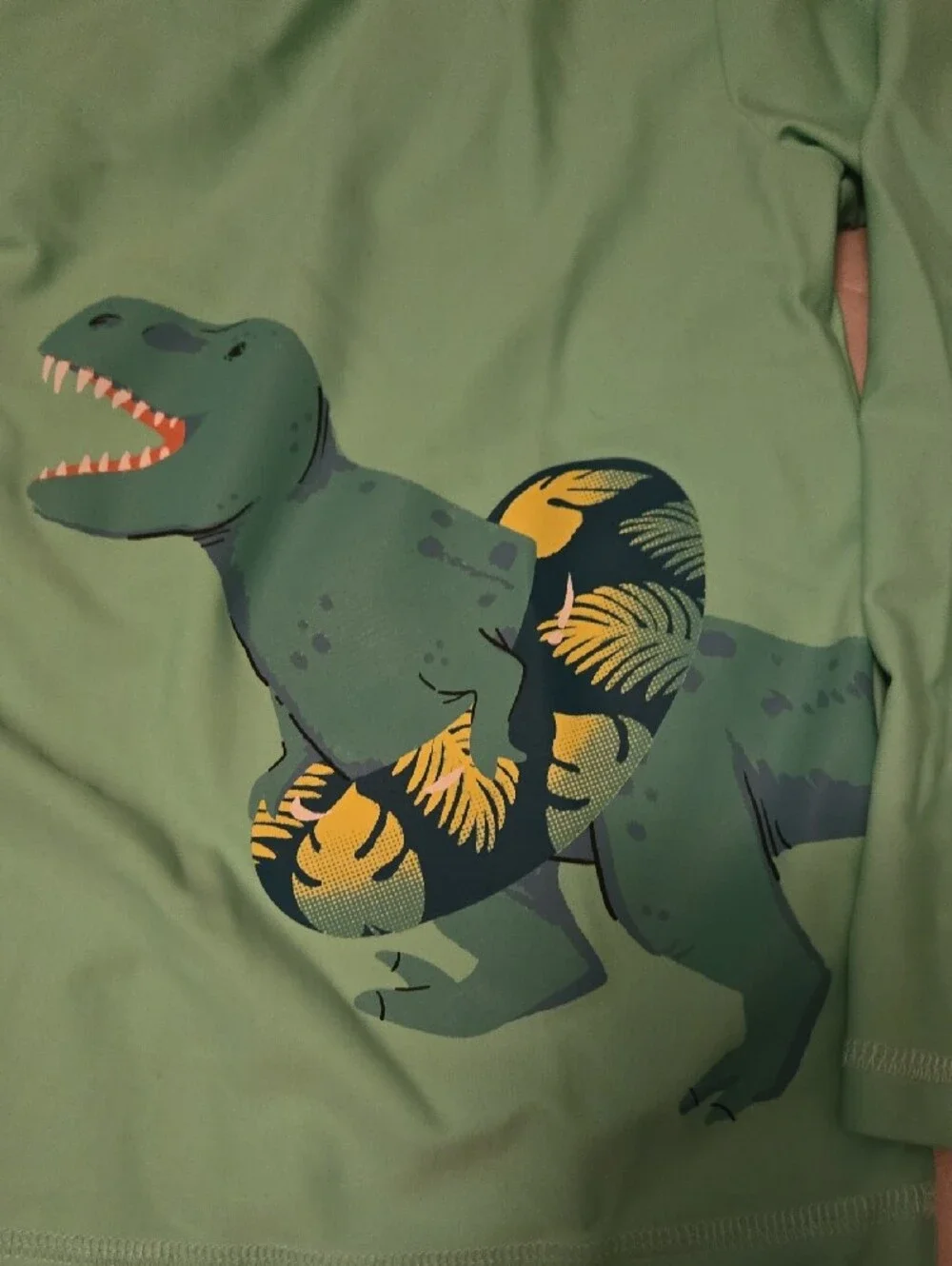Carter's Mint Green Dino Rash Guard Top with Navy Dino Swim Shorts